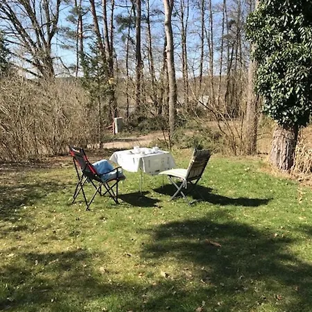 Ostsee Perle Lutje Mathis Schwaan